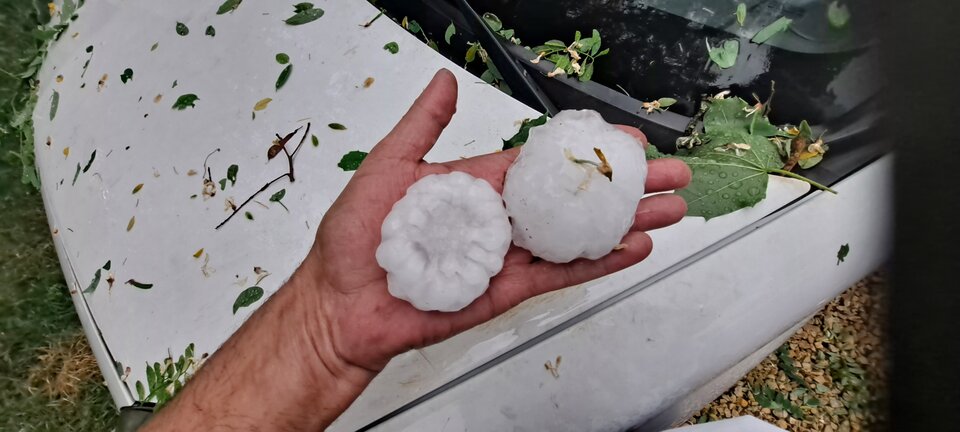 20210624_185439.jpg - nero63