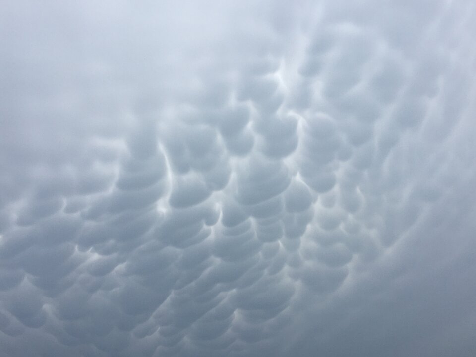 Mammuts :)) - Anderso