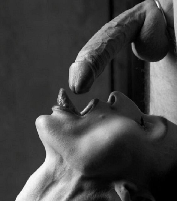 658_1000.jpg - EuphoriaClub