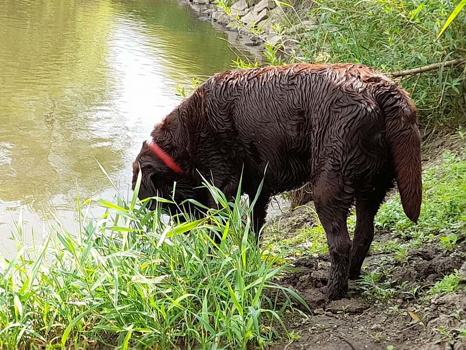 20210625_152057.jpg - bears64