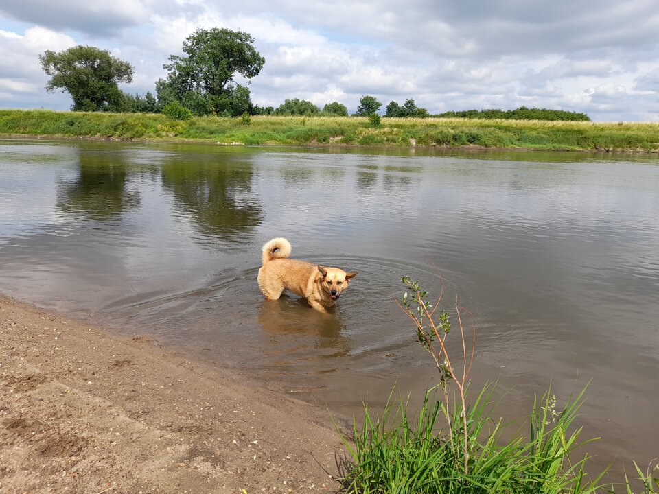 20210625_152048.jpg - bears64