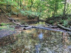 IMG_20210616_080702.jpeg