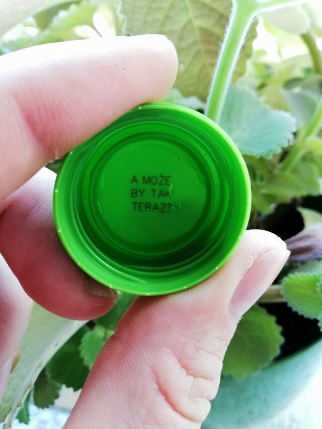 DontEatTheYellowSnow