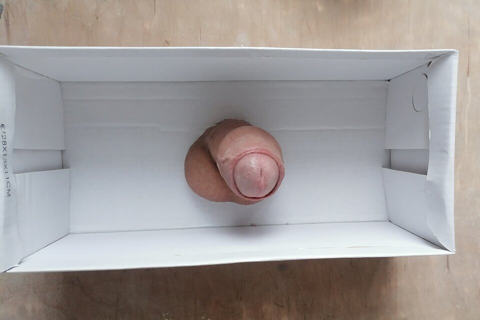 IMG_20210626_133923.jpg - aragorn1985