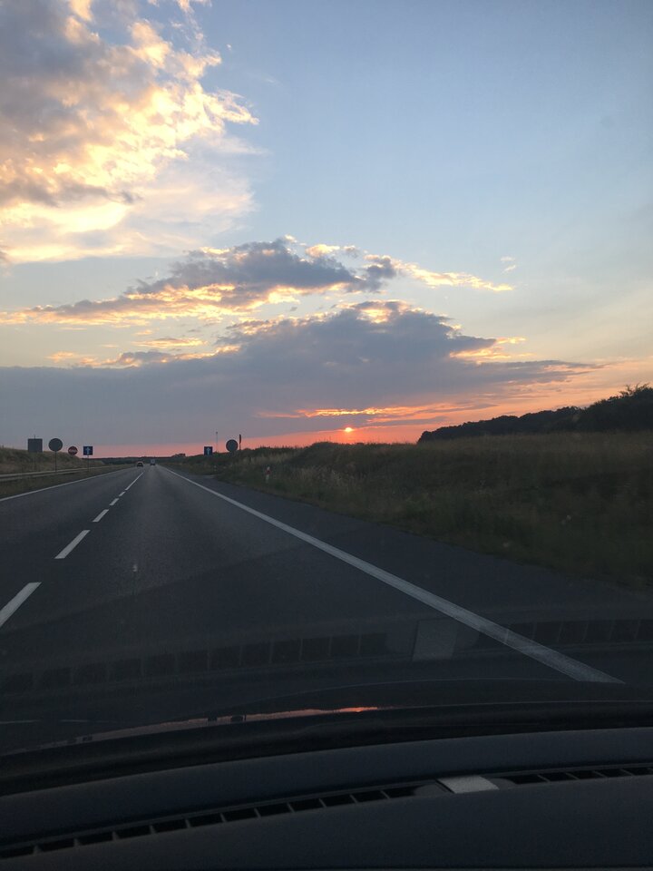 554C29C6-5F2C-4290-8210-CB7280AB454F.jpeg - SirWolf