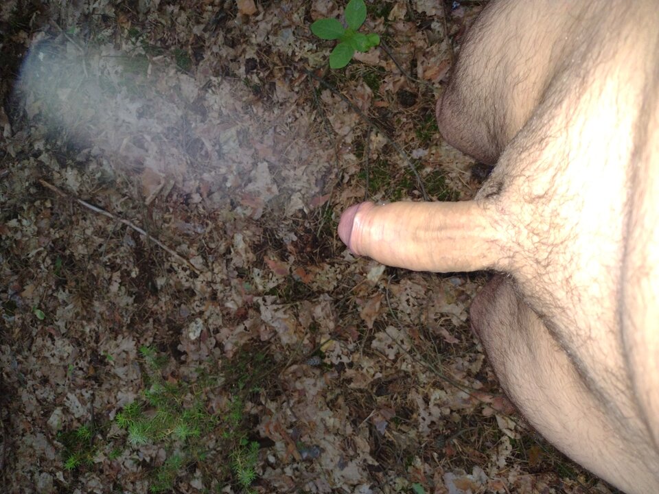 IMG_20210627_050406223.jpg - jan2121