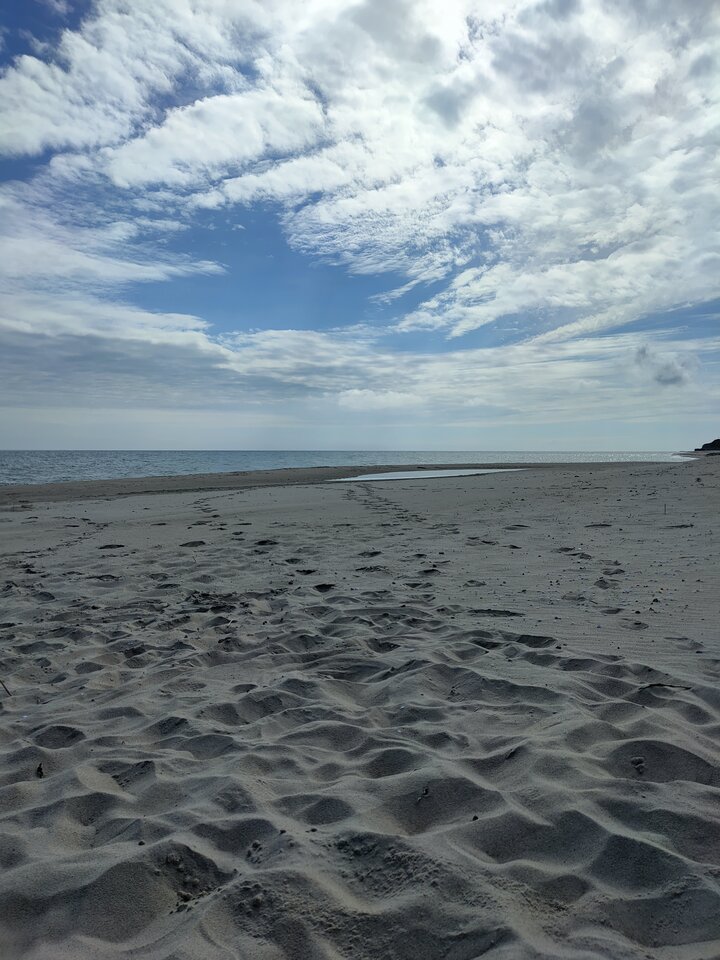 IMG20210627093650.jpg - ana_wu