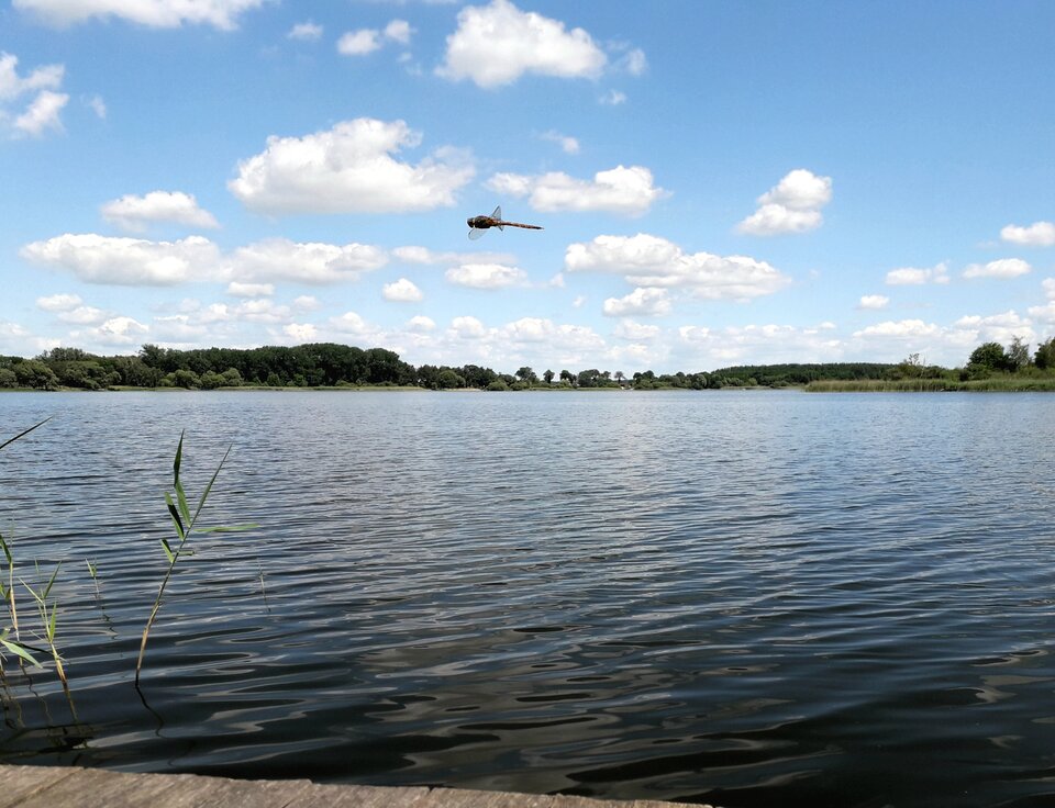 20210627_142219.jpg - Alien65