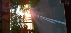 IMG_20210629_041251.jpg