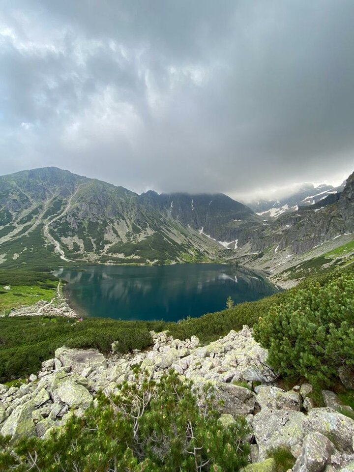 IMG-20210628-WA0003.jpg - MattVegass