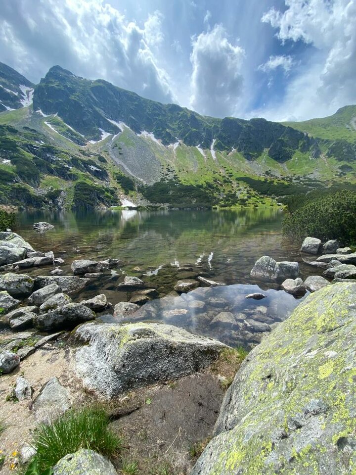 IMG-20210628-WA0004.jpg - MattVegass