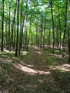IMG_20210606_174058.jpg