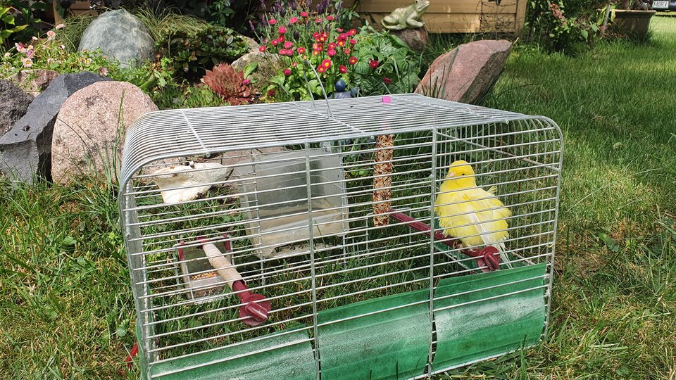 20210627_134506.jpg - Naturysta70