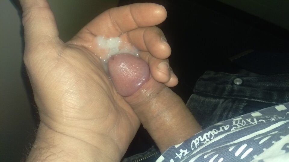 IMAG0009.jpg - Tygryseekp