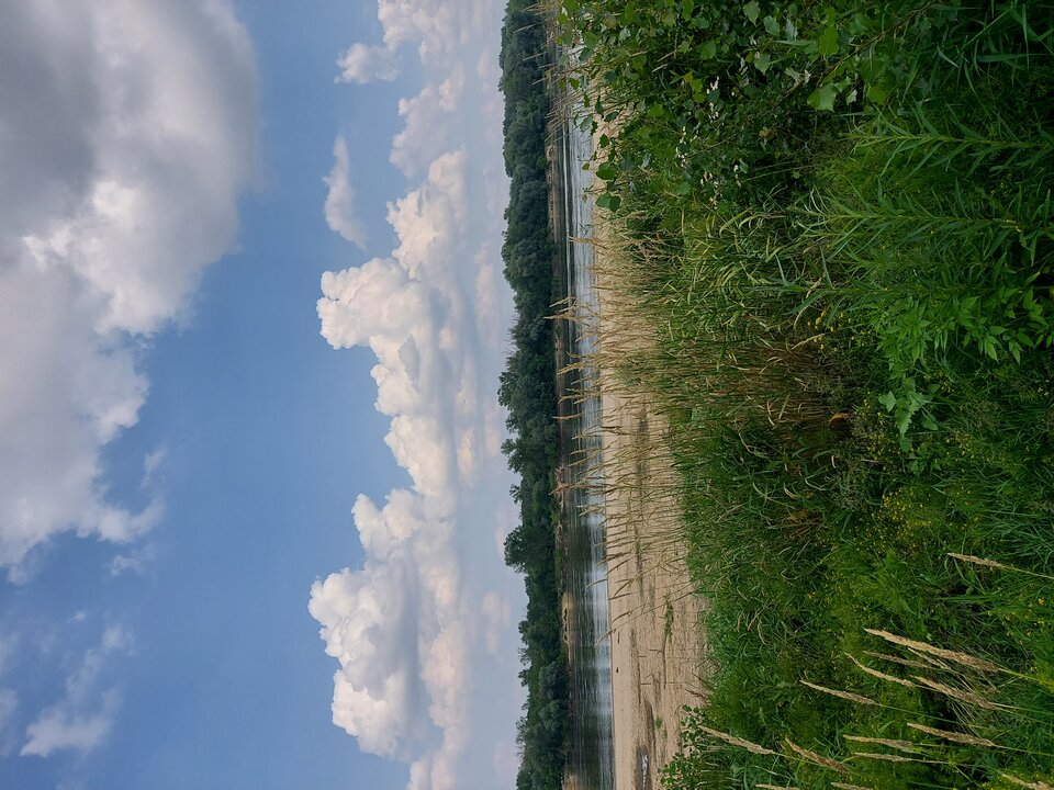 16250580704412180726992280406454.jpg - NIEPOKORNI11