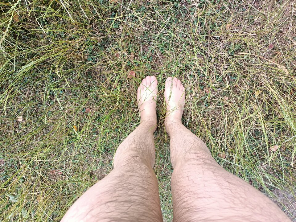 IMG20210630165037.jpg - Hornet18