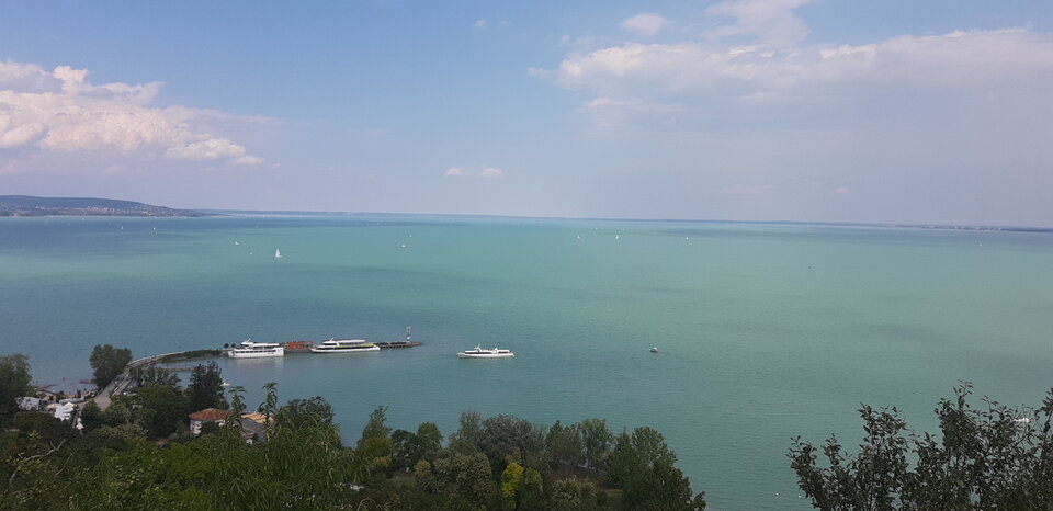 20200723_145306_001.jpg - mokrzy80