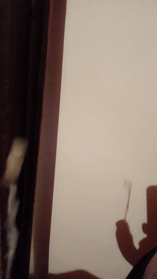 20210701-082059.jpg - boxoq