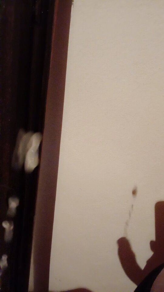 20210701-082050.jpg - boxoq