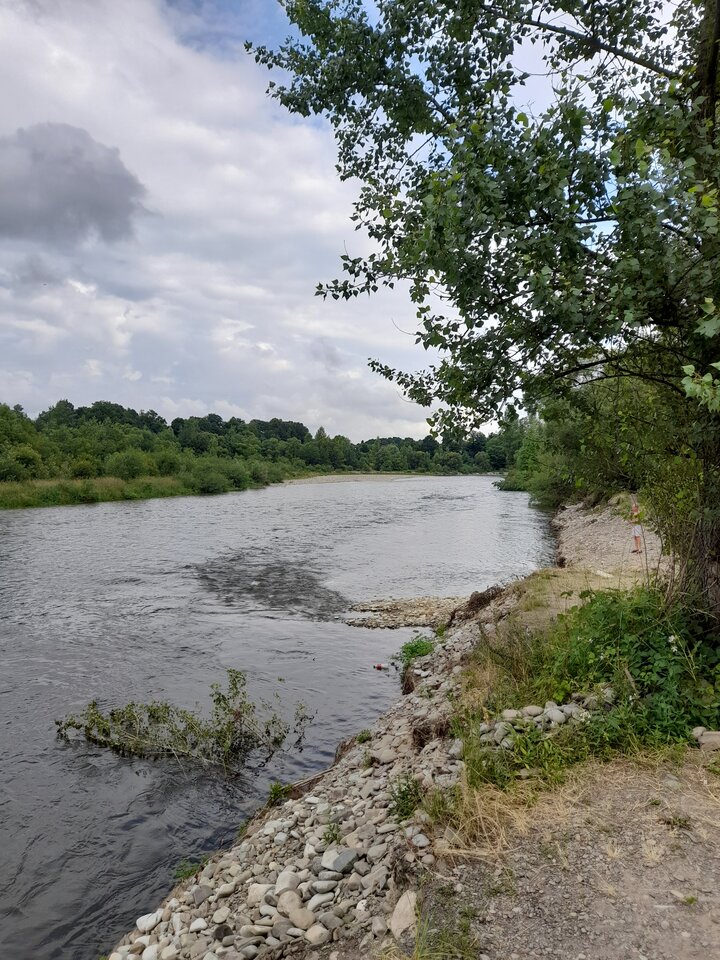 20210701_085216.jpg - Ambrozja2