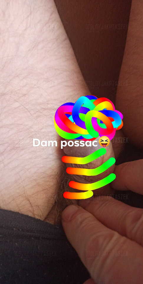 USER_SCOPED_TEMP_DATA_orca-image-1625127243415_68162776975698067 - wolnyjakPtaszek