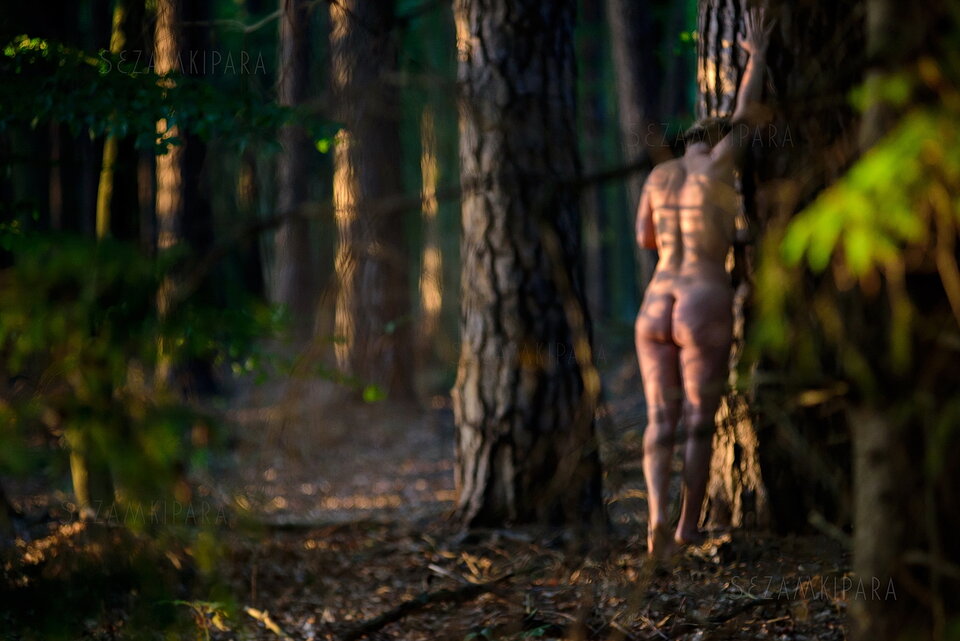 Sen Nocy Letniej - sezamkipara