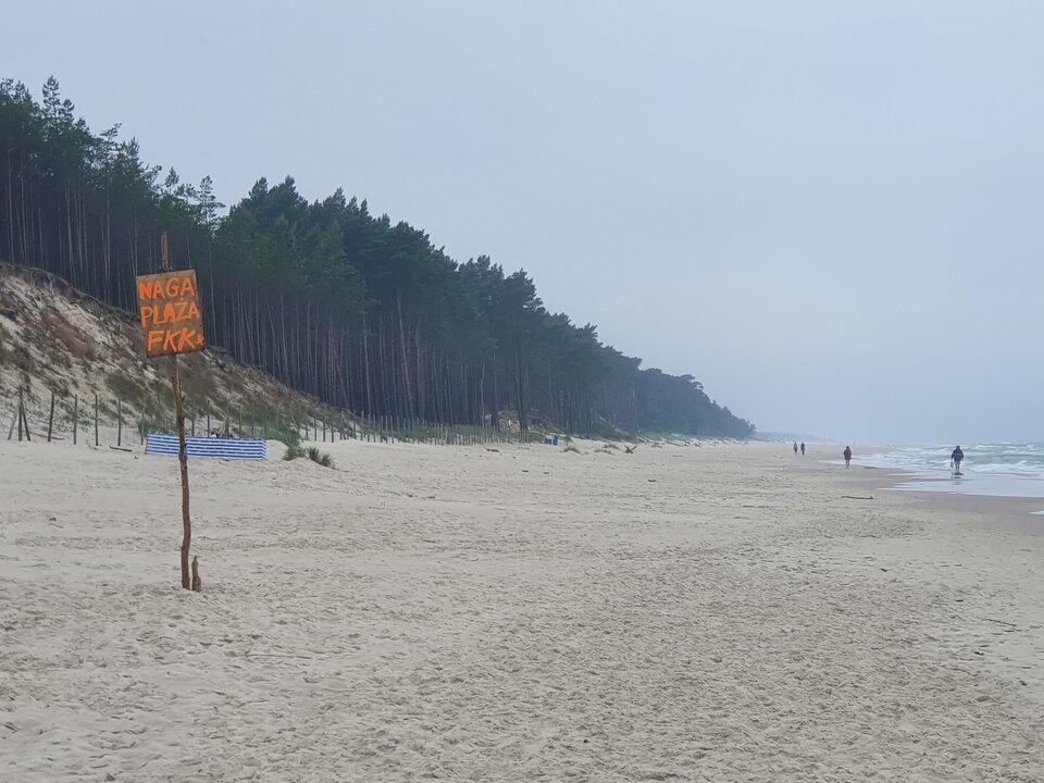 20210703_102835.jpg - kreatywni_my