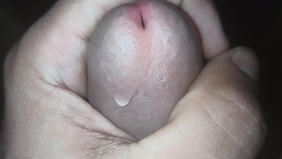 IMG_20210703_183547.jpg - kutasior1987_2