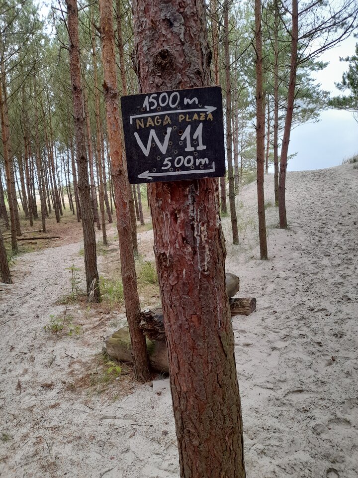 20210703_140914.jpg - KR2407