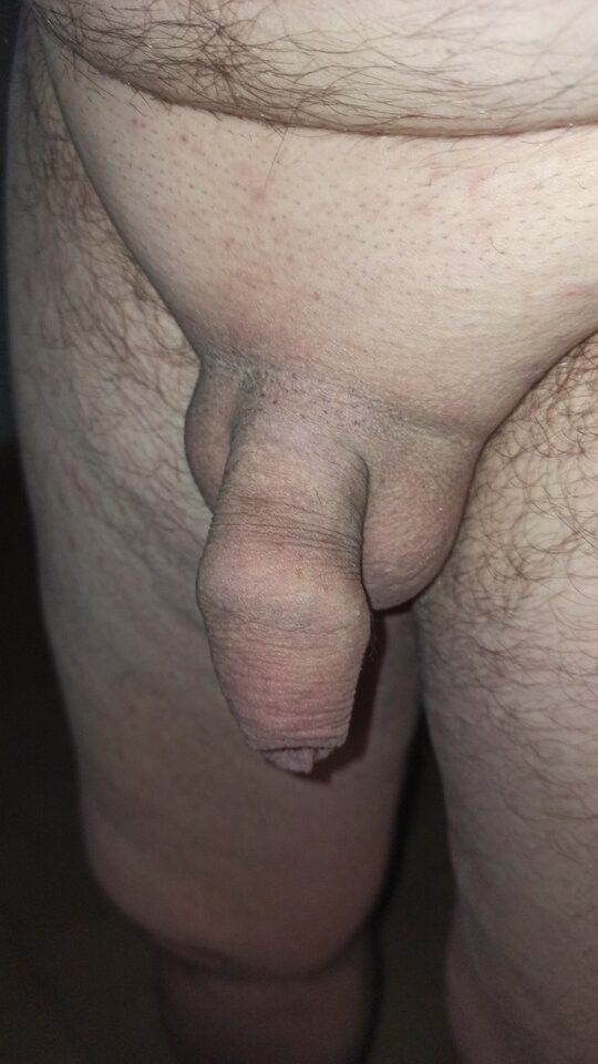 IMG_20210612_005334.jpg - artur42wawa