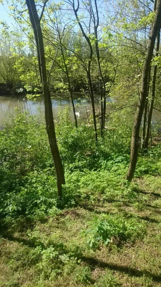 184027039_120647056798931_351194295758271640_n.jpg - wolnyjakPtaszek