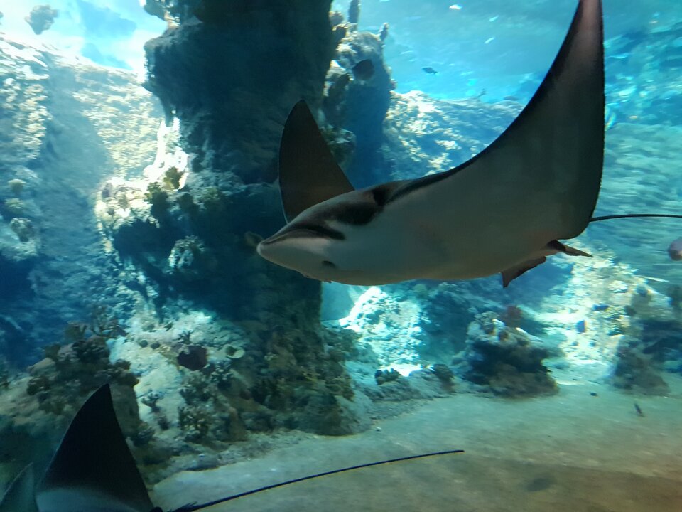 20200826_111209.jpg - harryraider