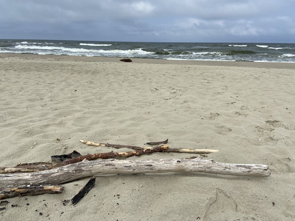 042C004B-A8E7-4198-9EC8-813A97CF3044.jpeg - Sender42