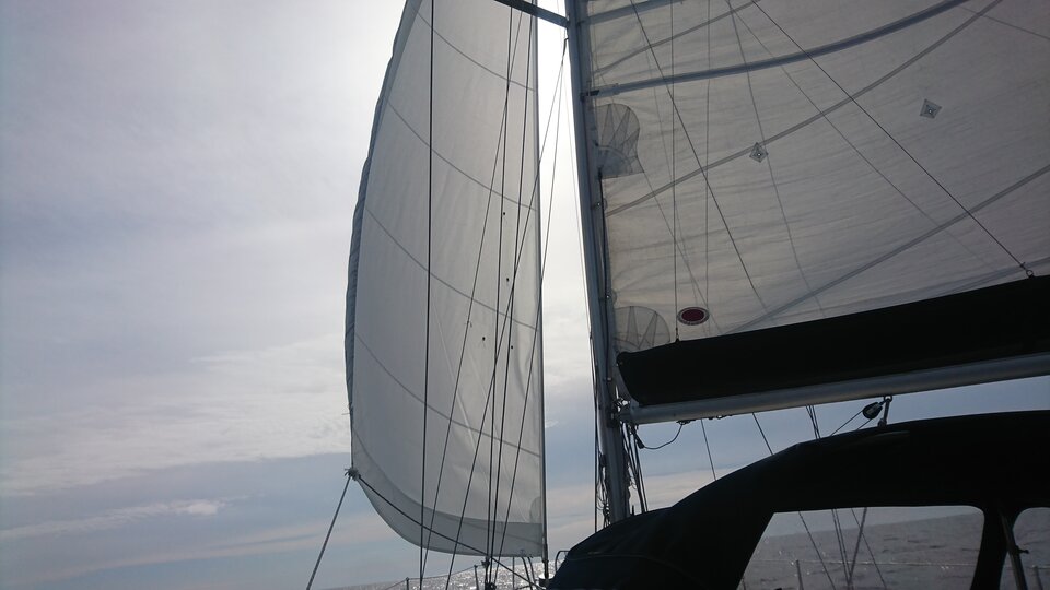 DSC_0123.JPG - Michaall99