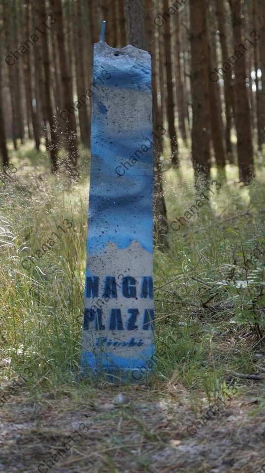 Photo_1625415757455.jpg - chana113