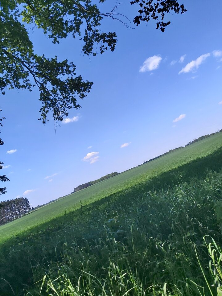 20210603_150940.jpg - SzukamyKobietyDo3