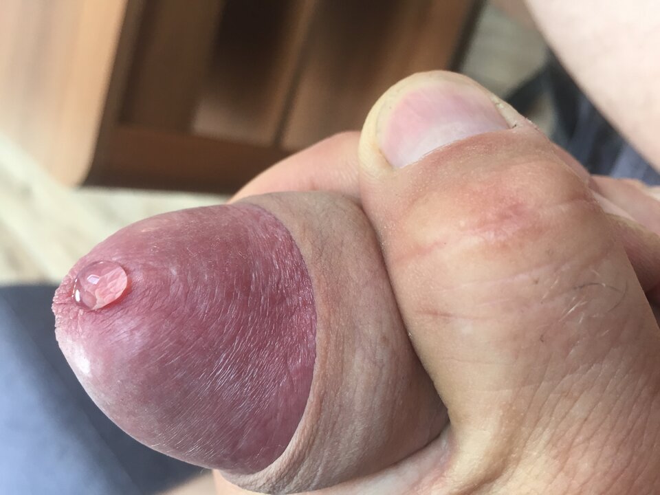 F2E44421-422C-466D-923D-002A48404A7A.jpeg - sawana1