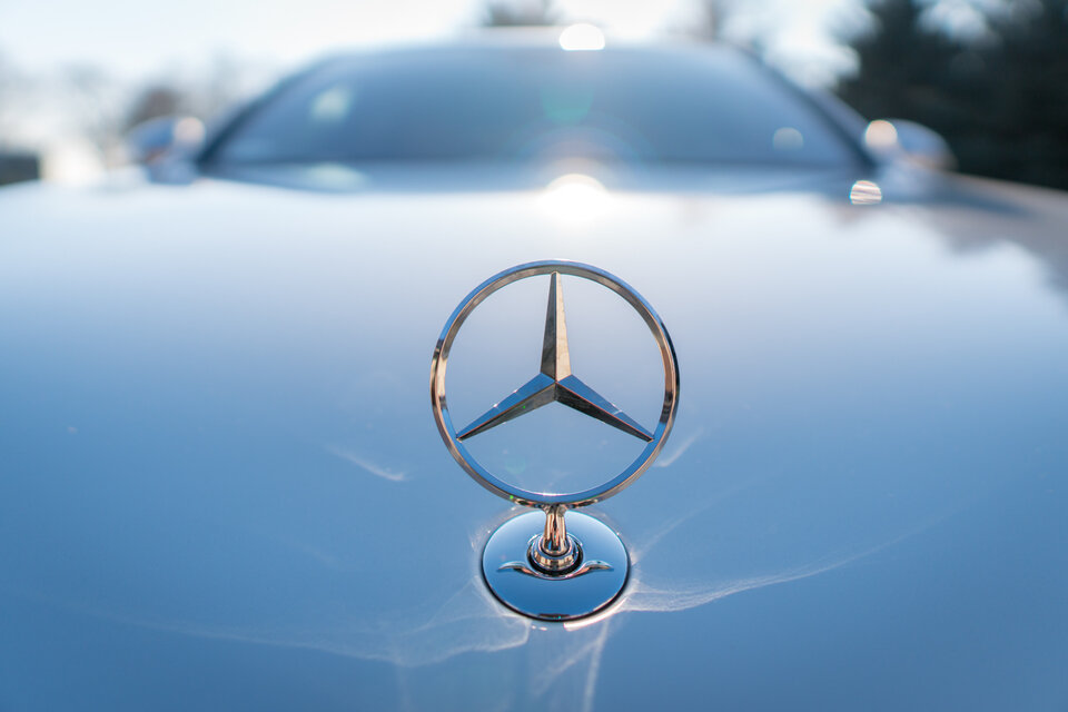 DSC00019-1.jpg - Urwisek77