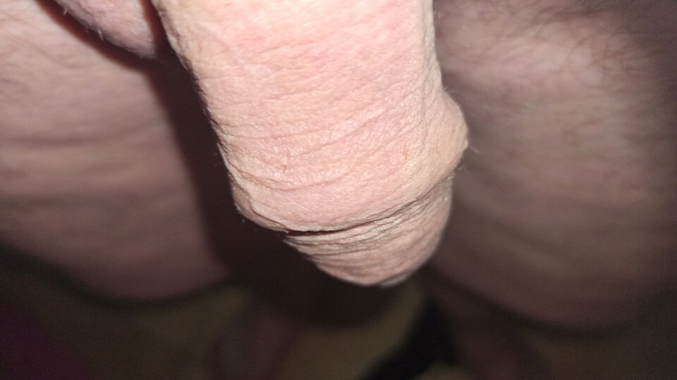 IMG_20210622_083001.jpg - artur42wawa