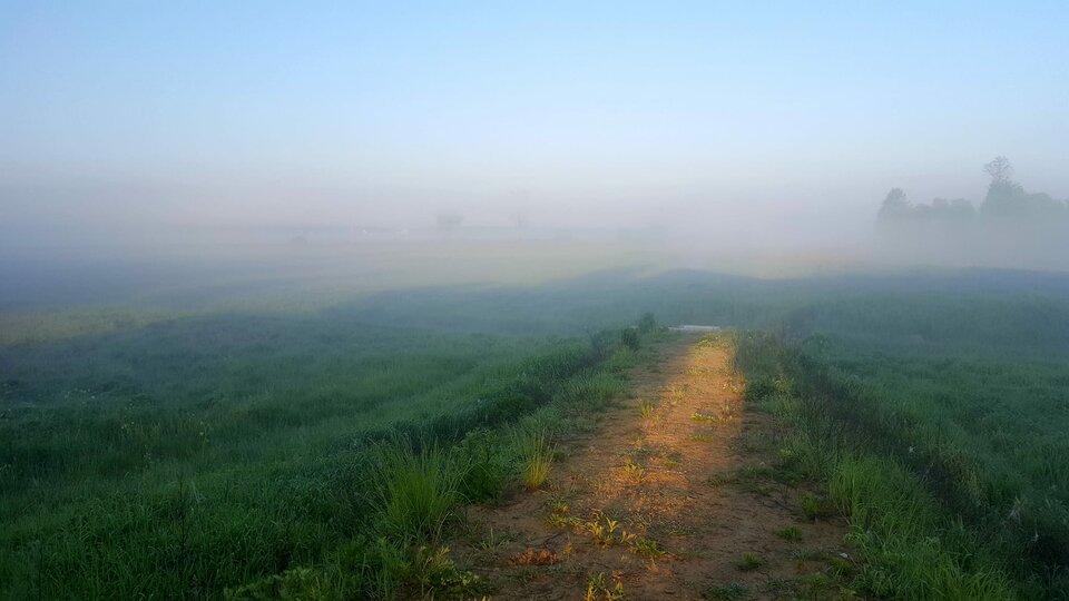 42591566_1914009985346824_6912592216137400320_n.jpg - milutki_misioo