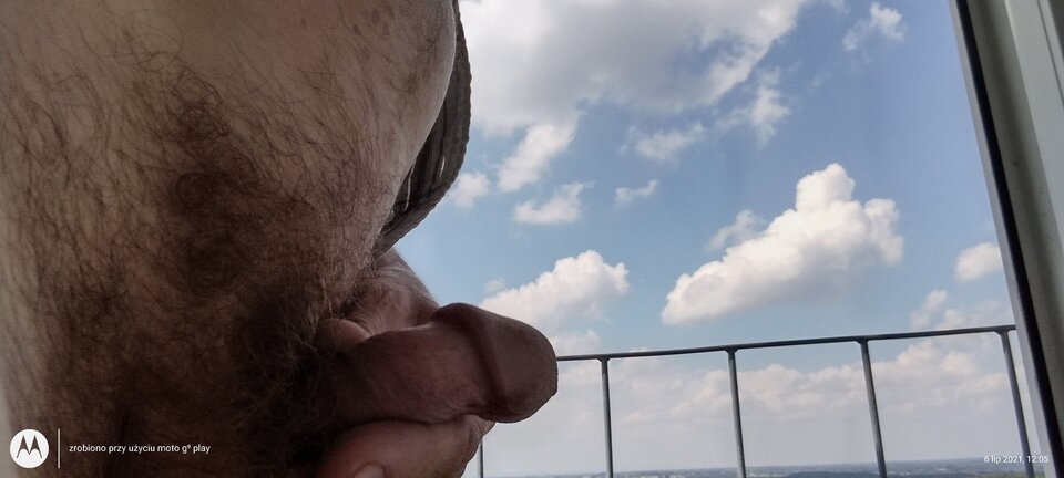 IMG_20210706_120515854_HDR.jpg - rewilug