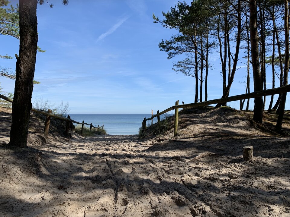 32C49EFA-A2C6-4E64-B793-664F4F6F501F.jpeg - Buszujacy_w_zbozu