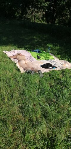 Nie ma to jak się poopalac na łące 