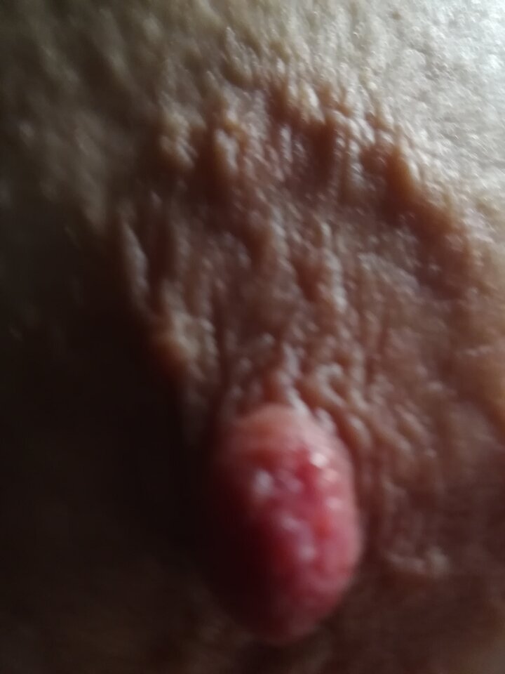 IMG_20210705_212518.jpg - swintuszki2