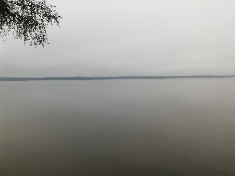 IMG_20210708_085524.jpg - Chilling