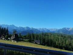 IMG_20190704_071002.jpg