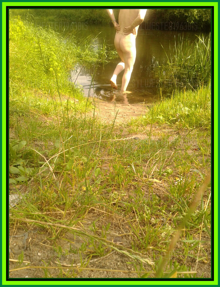 drwęca.jpg - sylwester1963bis