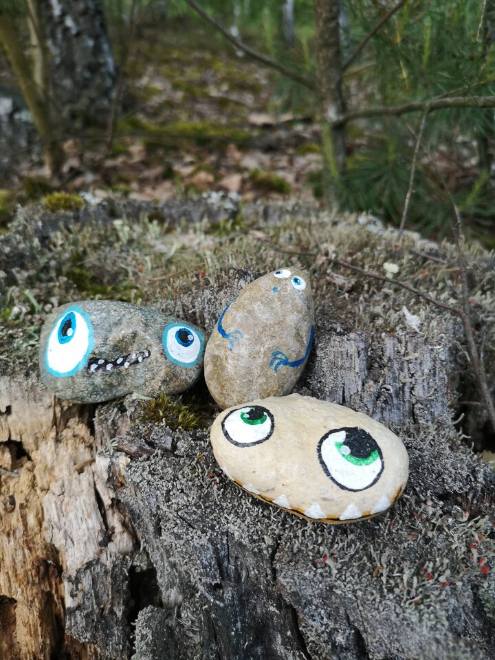 IMG_20210530_195701.jpg - MARCIN0440