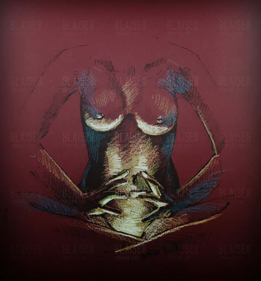 Art. No. 97 - blaise8
