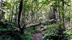 20210604_165221.jpg